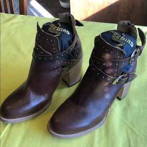 NWB-Freebird Rainbows 🌈